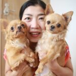 若林徳子